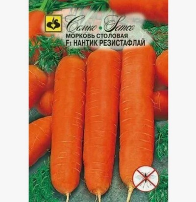 10  самых сладких сортов моркови