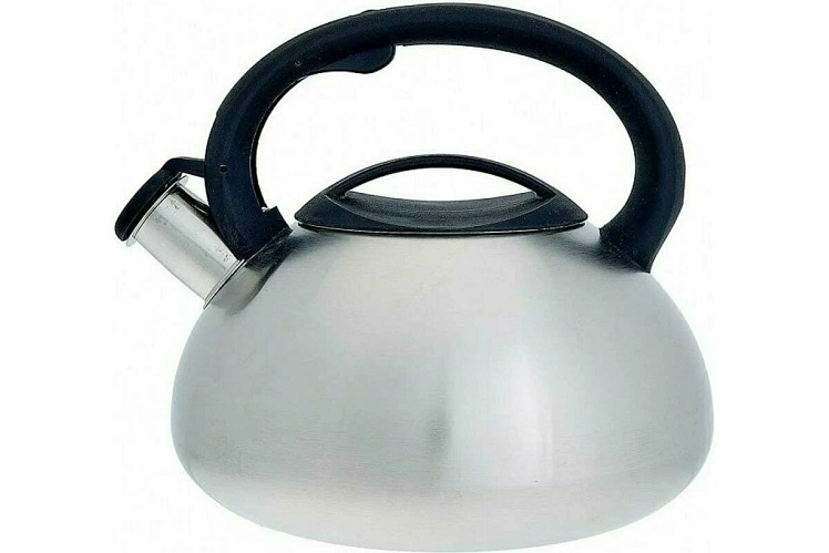 11 лучших чайников со свистком