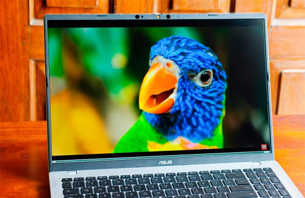 Обзор Asus Vivobook 16: лучшего ноутбука для офисной работы с доступной ценой